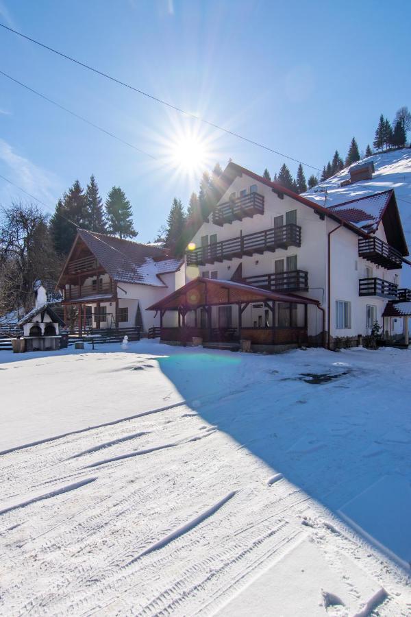 Vila Mesteacanul Moeciu De Sus Exterior foto